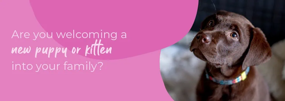 Welcoming your new puppy or kitten