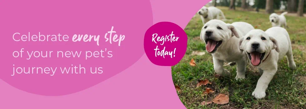 Welcoming your new puppy or kitten