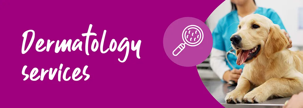 Dermatology Referral Service