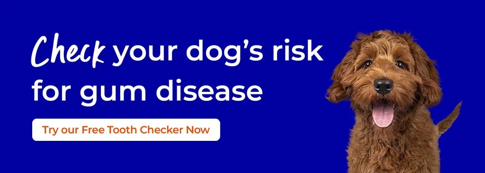 Pet Dental Care | Cat & Dog dental care | Peak Vets