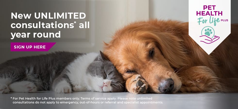 Vets in Sheffield | Vets Near Me | Peak Vets