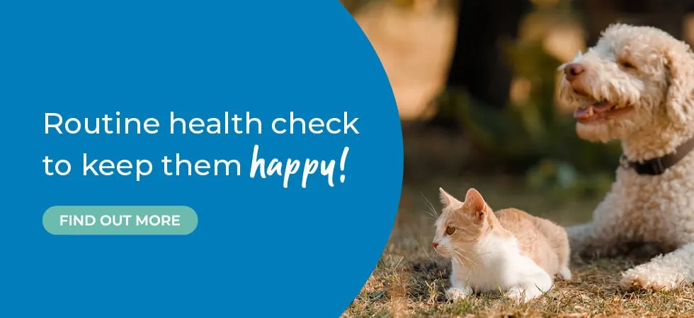 Vets in Sheffield | Vets Near Me | Peak Vets