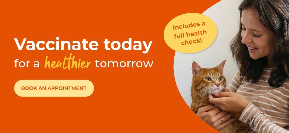 Vets in Sheffield | Vets Near Me | Peak Vets