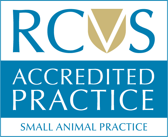 logo rcvs accredited small animal practice